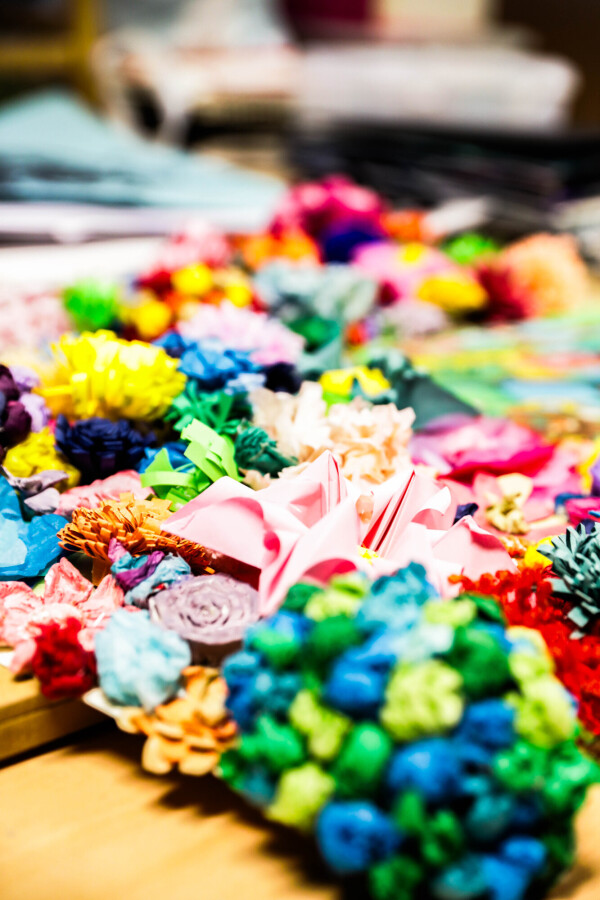 Ruthless Images King David 29.01.26 346