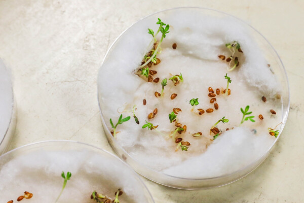 Ruthless Images King David 29.01.26 515