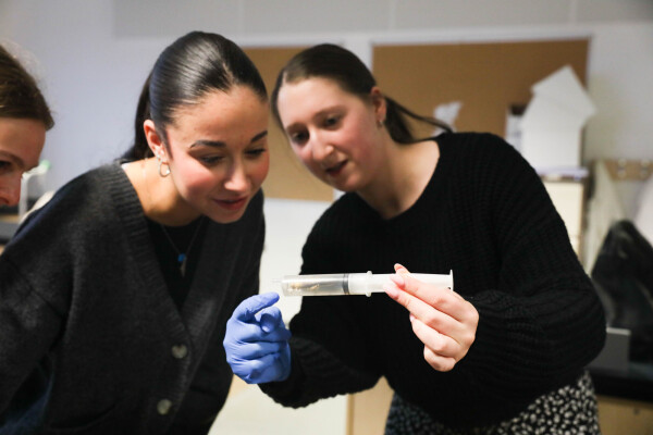 Ruthless Images King David 29.01.26 588