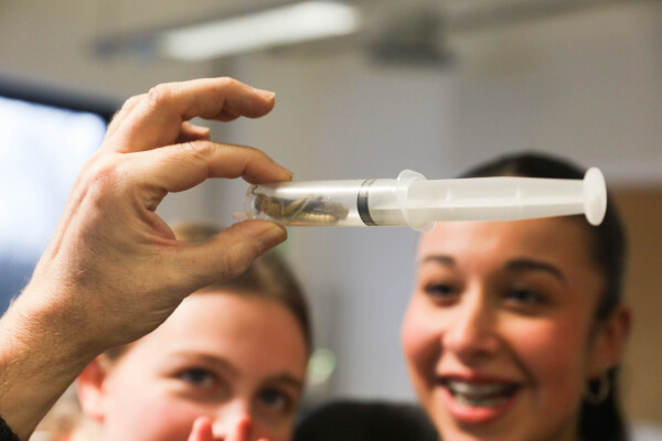 Ruthless Images King David 29.01.26 597